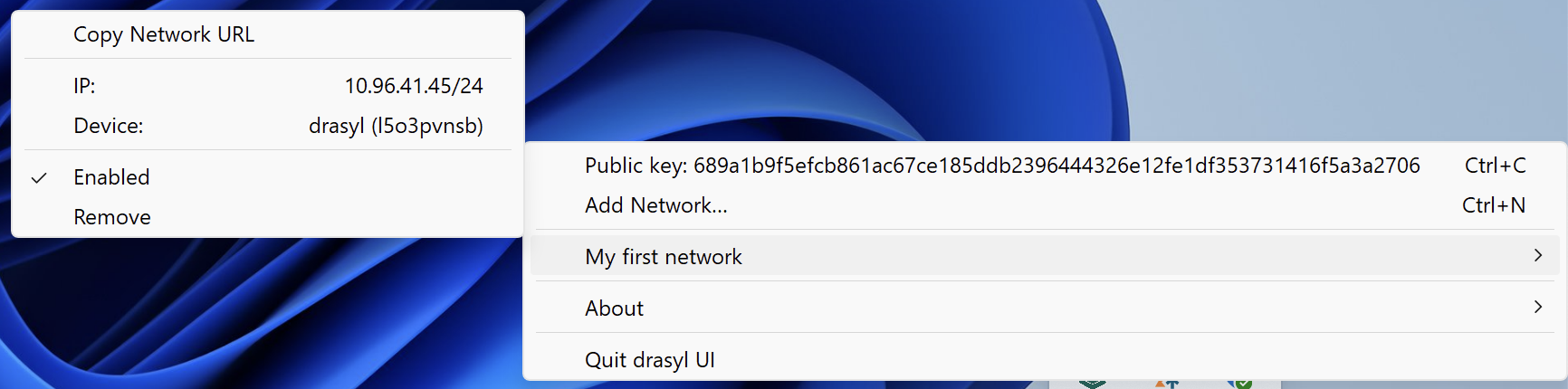 Node successfully joined the network showing network device and IP address